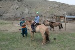 Myself and Mongolian rider