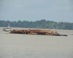 Huge barge of lovely hardwood on the Amazon