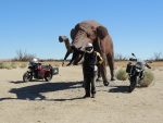Borrego Springs. Clive and a desert elephant.
