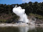 Geyser erupting on the edge of Lake Rotomahana near Rotorua