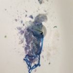 Portugese man o war in the sink